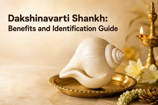 Dakshinavarti Shankh Benefits and Identification Guide