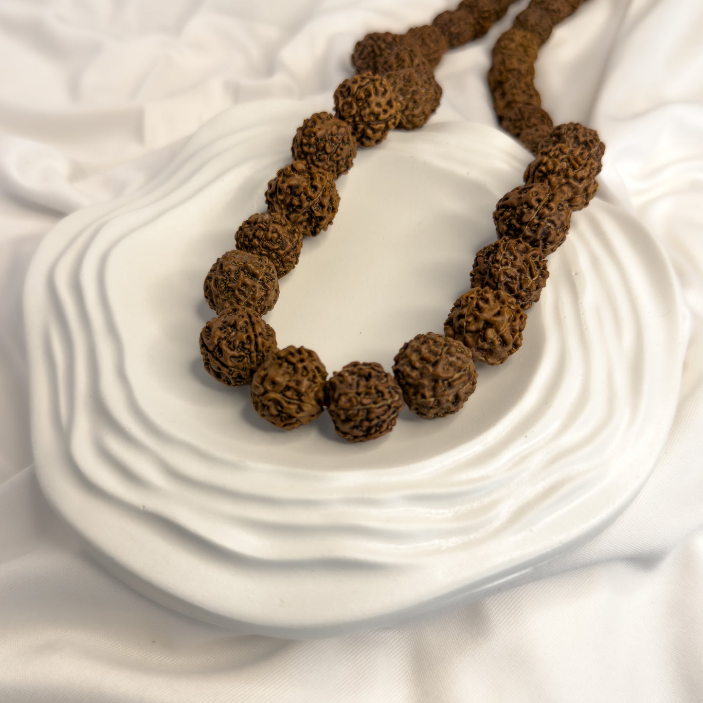 5 Mukhi Rudraksha Mala – 52 + 1 Beads (Large 10mm) | Java, Indonesia