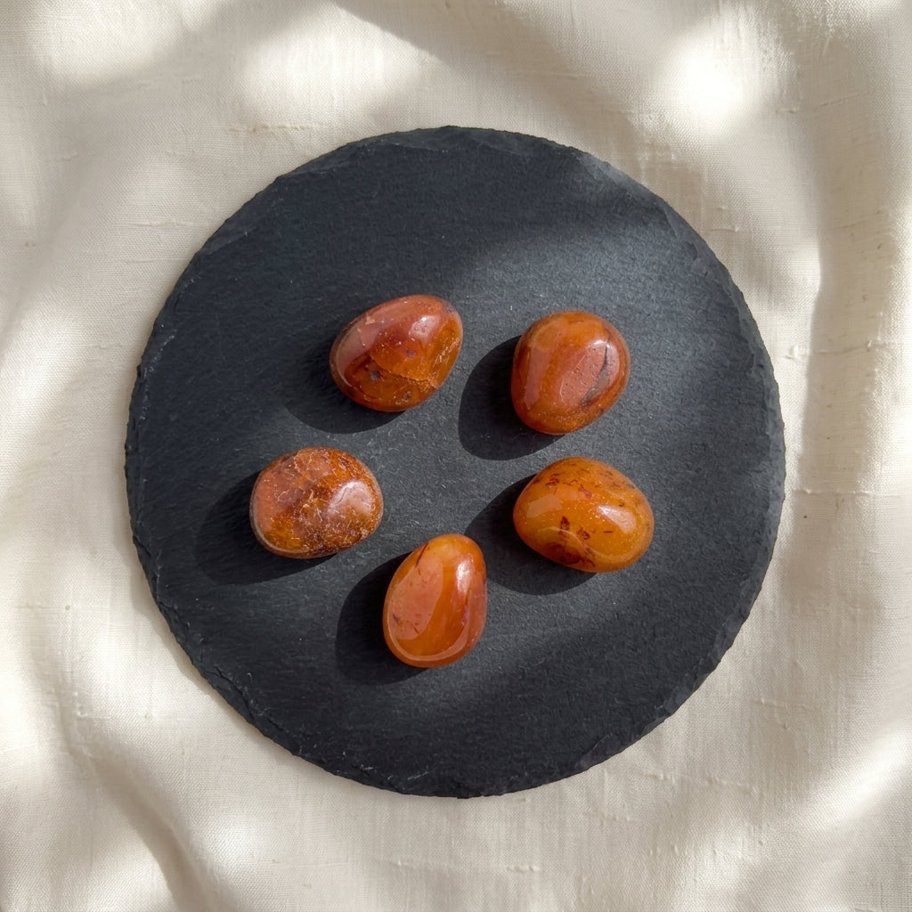 Carnelian Tumble Stone – Natural Crystal